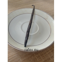 Laski Wanilii (16 Cm) 1kg